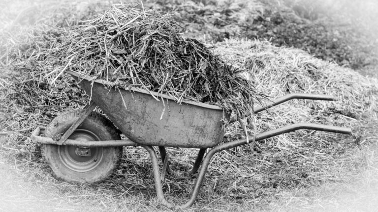 BIO – Das große Geschäft der Freimaurer